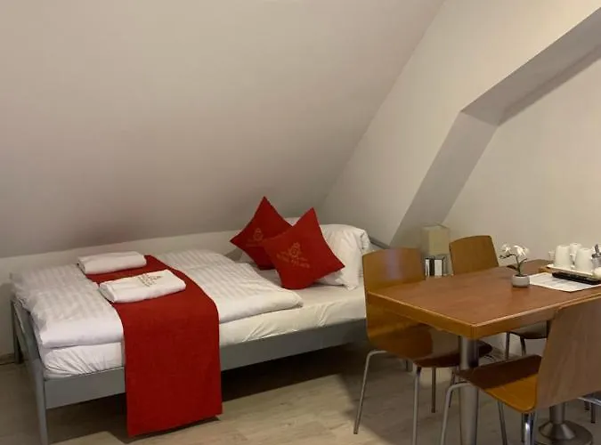 Vidhous 2 Františkovy Lázně